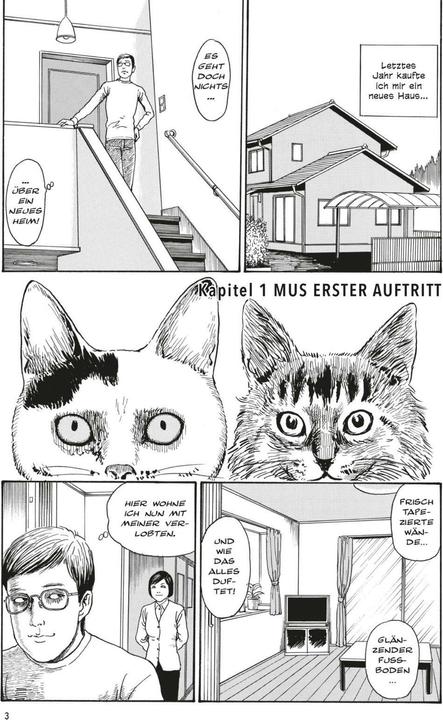 Produktbild Junji Itos Katzentagebuch (Deutsch, Junji Ito, 2025)