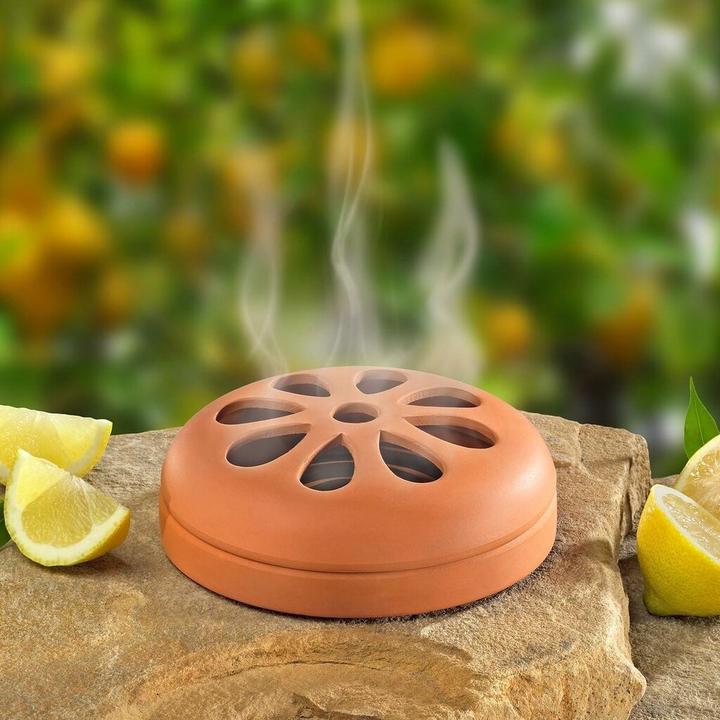 Actual product image Arti Casa Terracotta Bowl with 6 Citronella Rings
