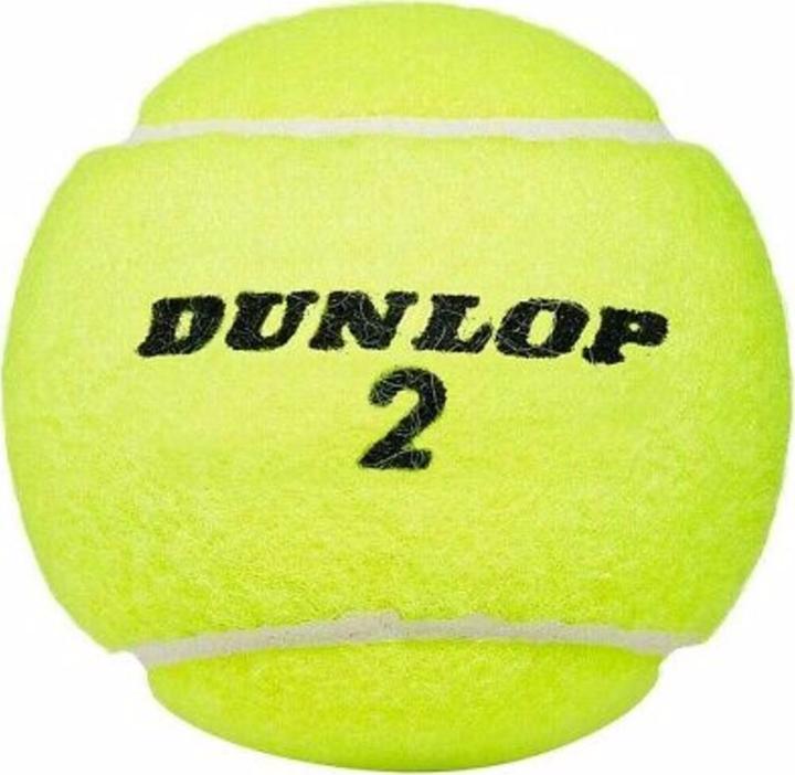 Actual product image Dunlop Club All Court