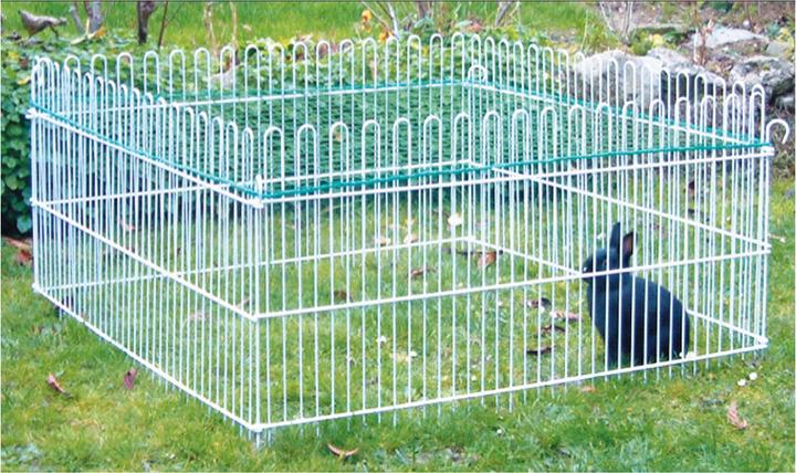 Actual product image Swisspet Free run enclosure Dream