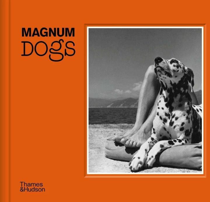 Image du produit Magnum Dogs