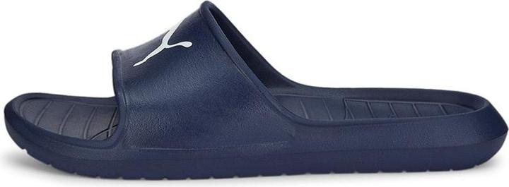 Actual product image Puma Divecat v2 Lite Cat (40.5)