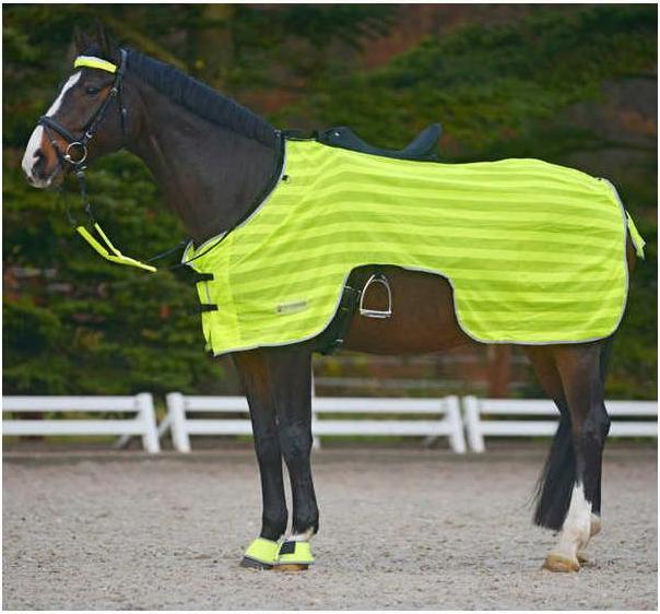 Immagine prodotto Waldhausen Tappeto da equitazione Reflex (125 cm)