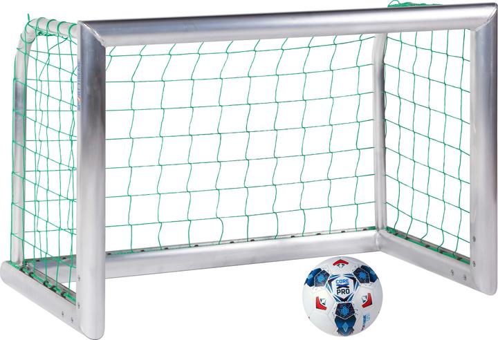 Sport-Thieme Mini-Trainingstor Professional Kompakt, Alu-Naturblank