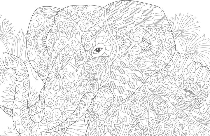 Actual product image Colorful Mandala - Mandala - Jungle animals