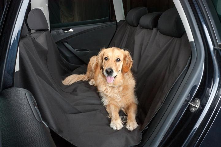Image du produit Miocar couverture de chien 145 x 165 cm (Chien)