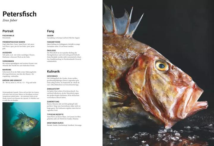 Produktbild Das grosse Buch vom Fisch (Deutsch, Teubner, 2019)