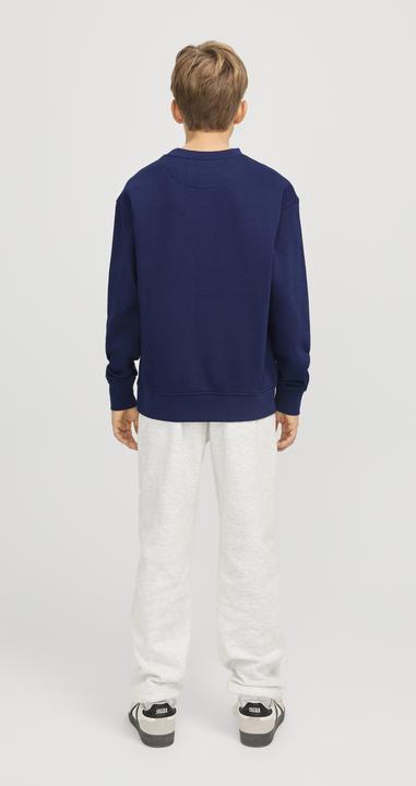 Actual product image Jack & Jones Jorvesterbro Sweat Crew Neck Noos Jnr (140)