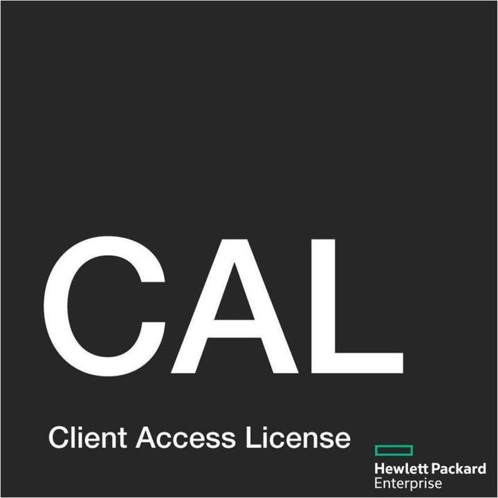 HPE MS WS22 1Usr CAL WW LTU