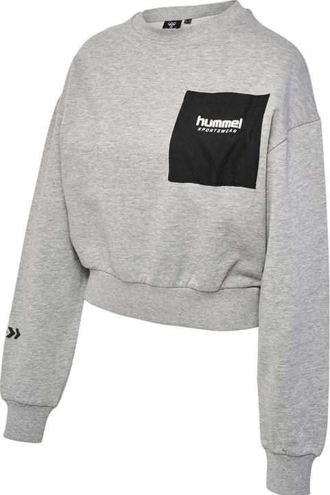 Actual product image hummel Hmllgc Dacia Sweatshirt (L)