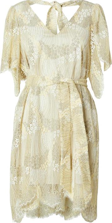 Actual product image Selected Femme Lace mini dress (40)