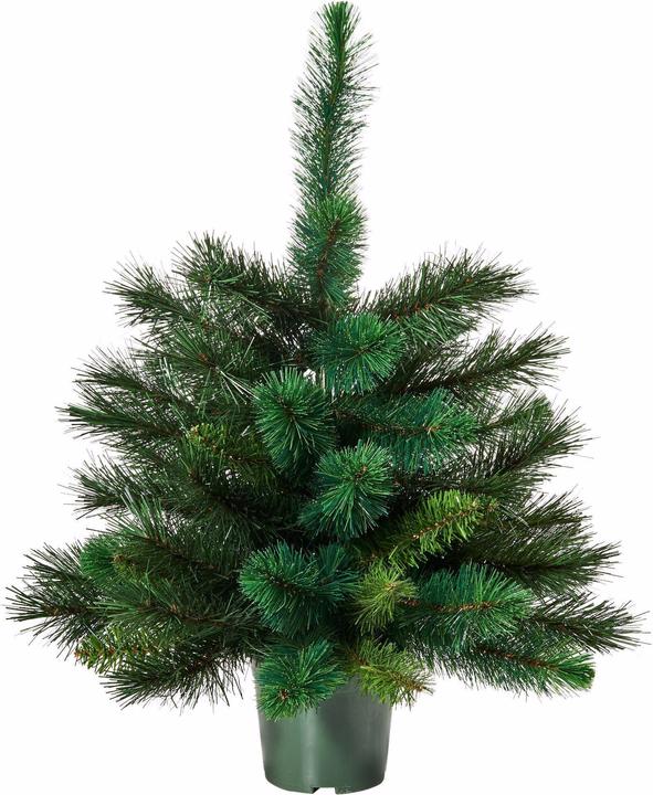 Produktbild home24 Tree Of The Month