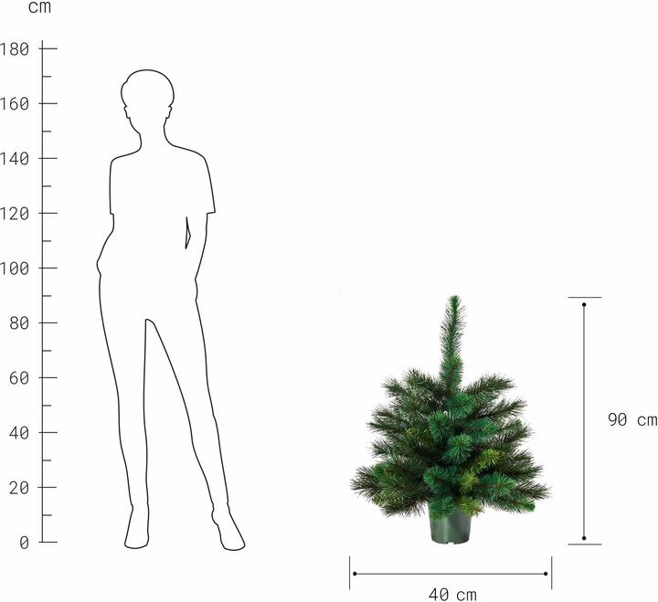 Produktbild home24 Tree Of The Month