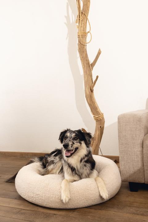 Immagine prodotto Beeztees Lettino Memory Foam Jaxx (Cane)