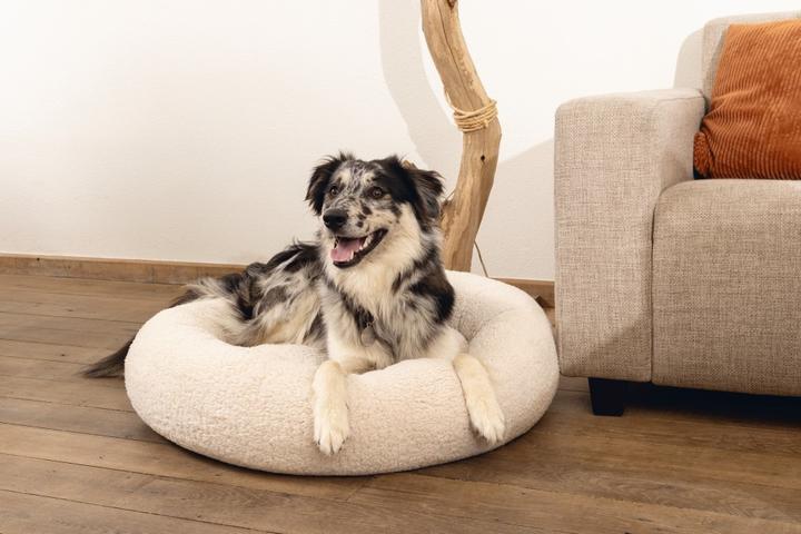 Immagine prodotto Beeztees Lettino Memory Foam Jaxx (Cane)