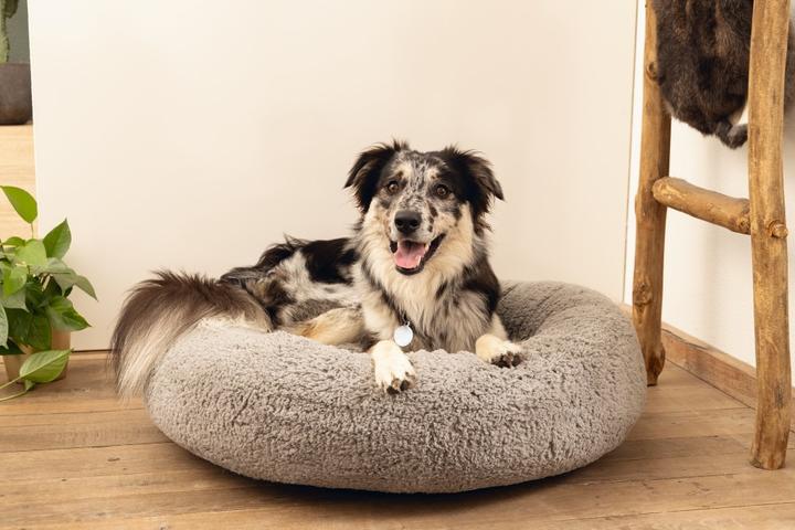 Immagine prodotto Beeztees Lettino Memory Foam Jaxx (Cane)