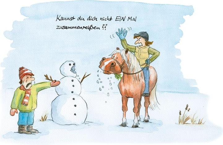 Image du produit Geschichten vom Pferd - Band 2 (Allemand, Grafische Anstalten Hassa & Karl GbR, Monica Karl, 2018)