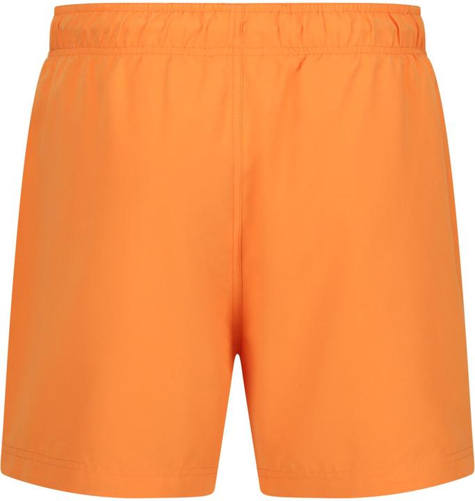 Actual product image Regatta Mens Mawson II Swim Shorts (XXL)