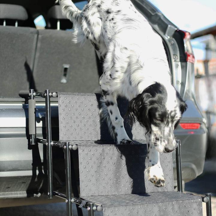Immagine prodotto Esmée Scale per cani (Cane, Pieghevole)