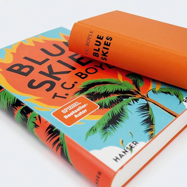 Actual product image Blue Skies (German, T.C. Boyle., Dirk van Gunsteren, 2023)