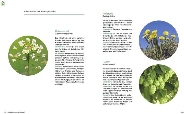 Immagine prodotto Das grosse Kneipp-Buch (Tedesco, Hans Gasperl, 2021)