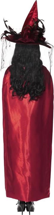Actual product image Smiffys witch (One size)