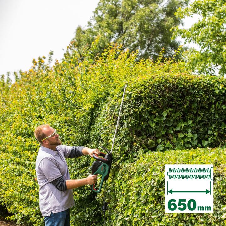 Actual product image Bosch Home & Garden AdvancedHedgeCut 65 (Electric hedge trimmer)