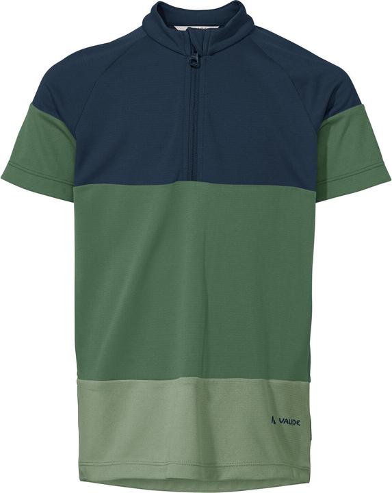 Vaude Qimsa