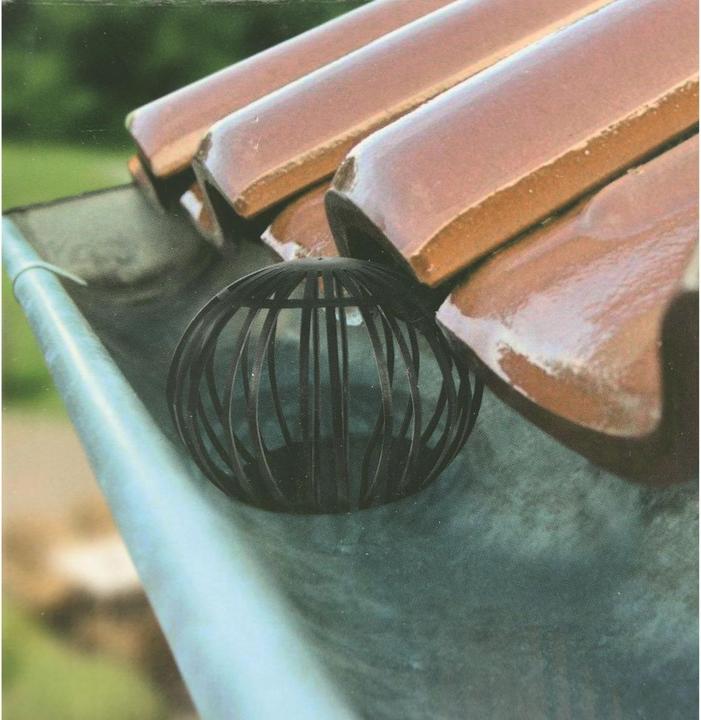 Actual product image Eneroid Leaf guard for rain downpipe, 2 pieces