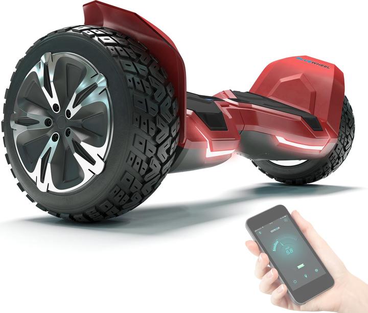 Actual product image Bluewheel HX510 (15 km/h, 700 W)