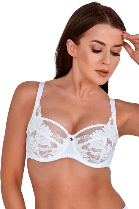 Gaia Soft model