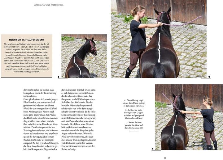 Actual product image Kosmos Lateralität bei Pferden (German, Isabell Marr, Constance Krüger, Farmer, Kate, 2024)