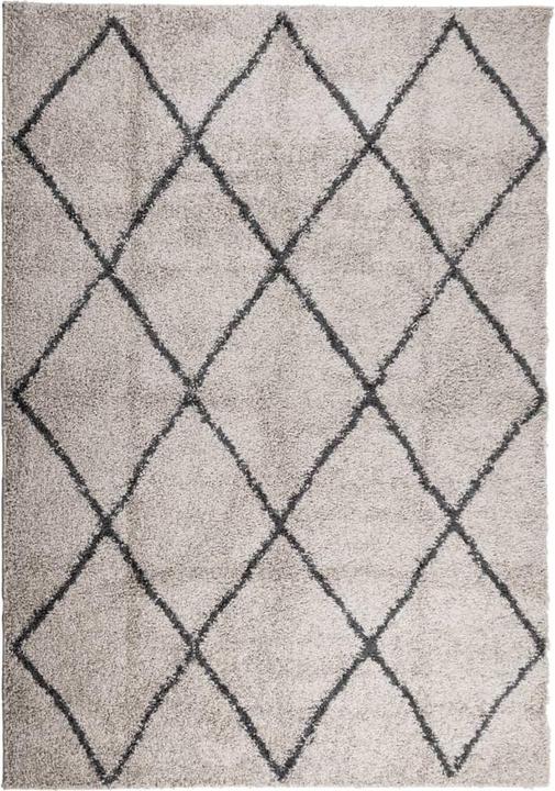 Immagine prodotto VidaXL Tappeto moderno a pelo alto Shaggy (170 x 120 cm)