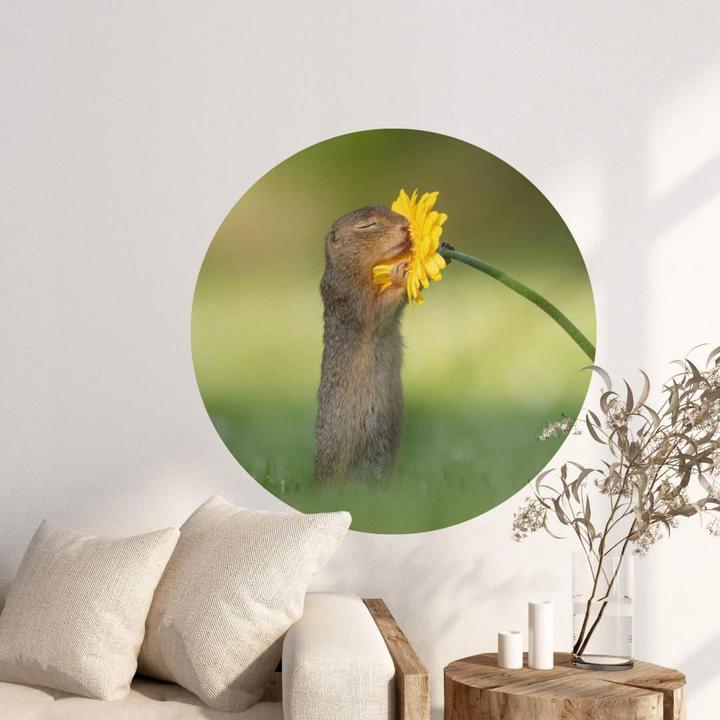 Produktbild Trenddeko van Duijn - Erdhörnchen riecht an Blume (Ø 30 cm)