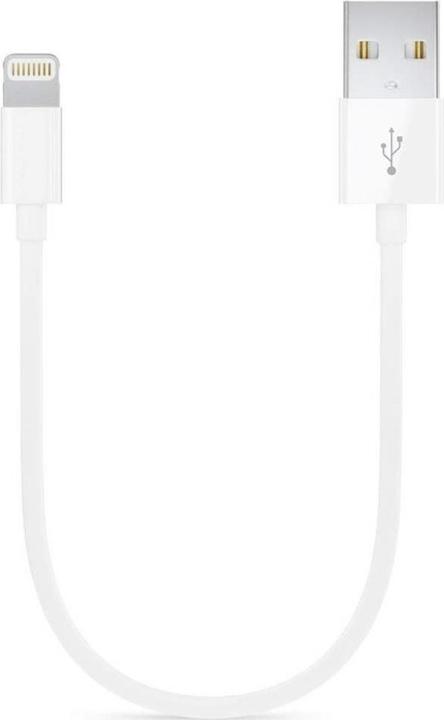Image du produit PowerGuard USB A — Lightning (0.15 m, USB 3.2 Gen 1)