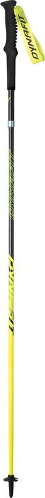 Actual product image Dynafit Vertical Pro poles (110 cm)