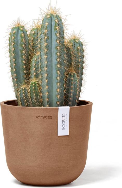 Actual product image Ecopots Oslo Mini (16 cm)