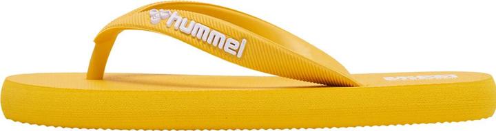 Image du produit hummel Flip Flop Jr (39)