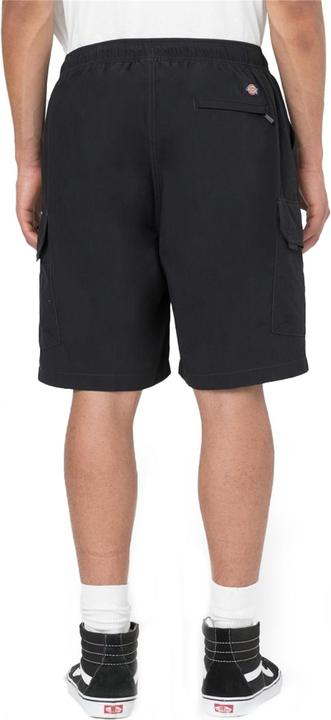 Image du produit Dickies Short cargo Jackson (M)