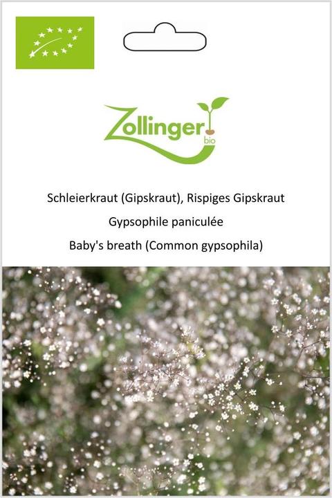 Produktbild Zollinger Bio Schleierkraut (Gipskraut), Rispiges Gipskraut (Keimlinge)