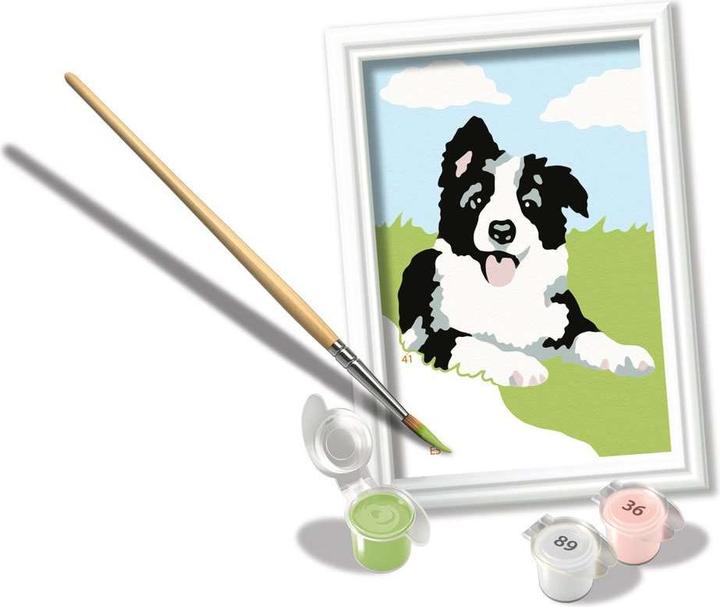 Produktbild Ravensburger Malen nach Zahlen - Border Collie Welpe
