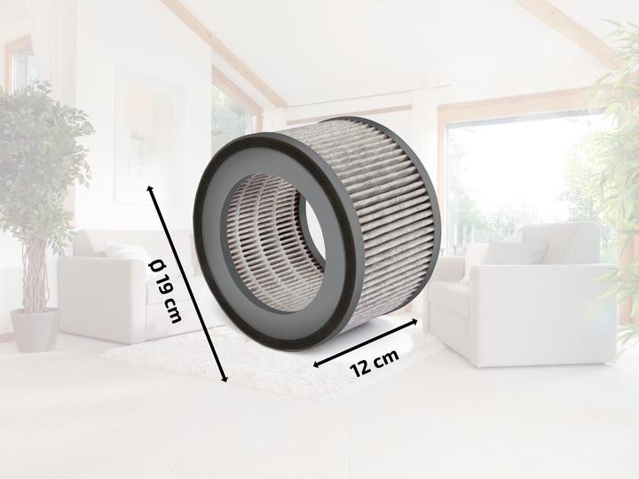 Produktbild Soehnle Ersatzfilter Airfresh Clean 300 (1 x)