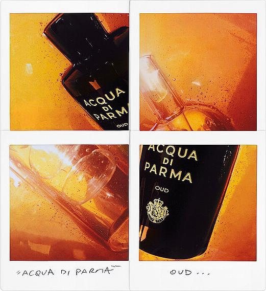 Produktbild Acqua Di Parma Oud (Eau de Parfum, 100 ml)