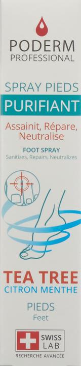 Immagine prodotto Poderm Pieds Purifiant (Deodorante per piedi e polvere, 50 ml)