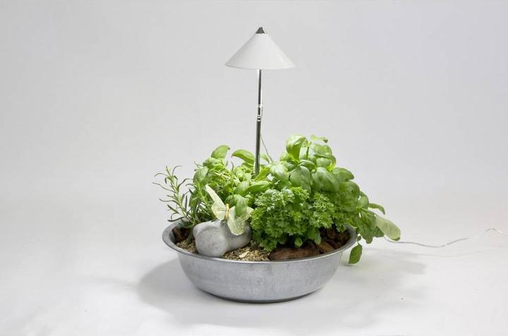 Actual product image Colibri SUNLiTE white (LED, 230 V)