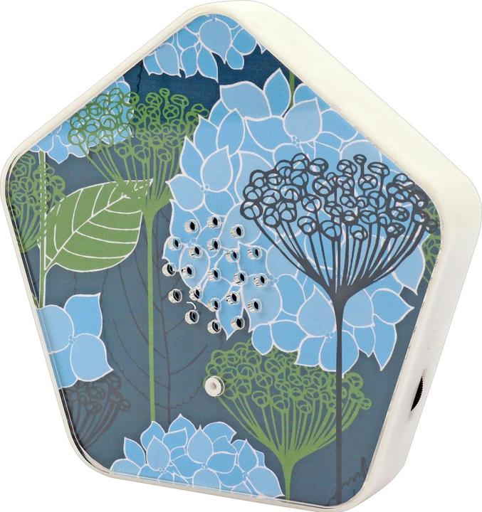 Immagine prodotto Olympia Olymp Nature BOX