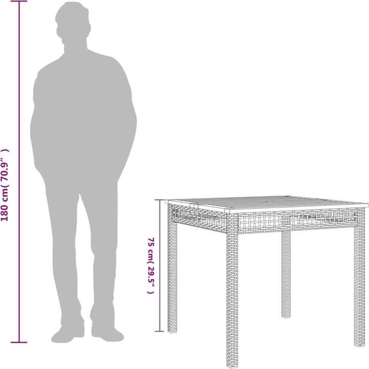 Immagine prodotto VidaXL Tavolo da giardino (80 cm)
