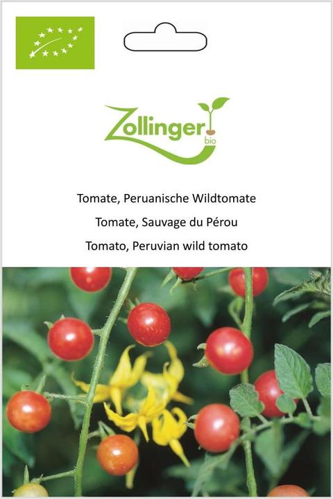 Immagine prodotto Zollinger Bio Tomate, Peruanische Wildtomate (Seme di frutta)