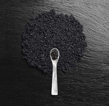 Immagine prodotto Alterna Caviale A-A Idratazione Riparatrice (1000 ml)