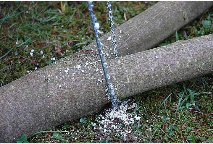 Actual product image RoNa Hand chainsaw Standard Plus-